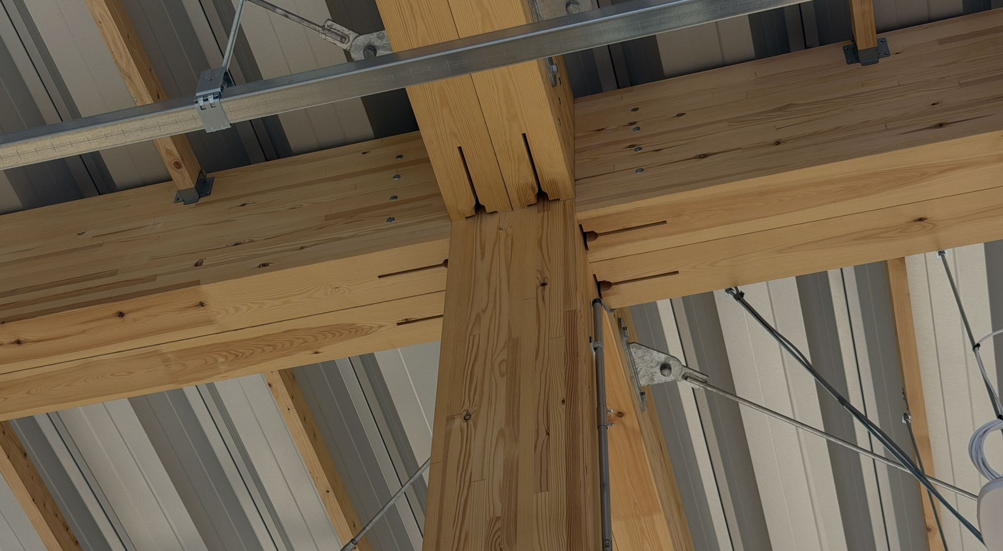 para_02_bg